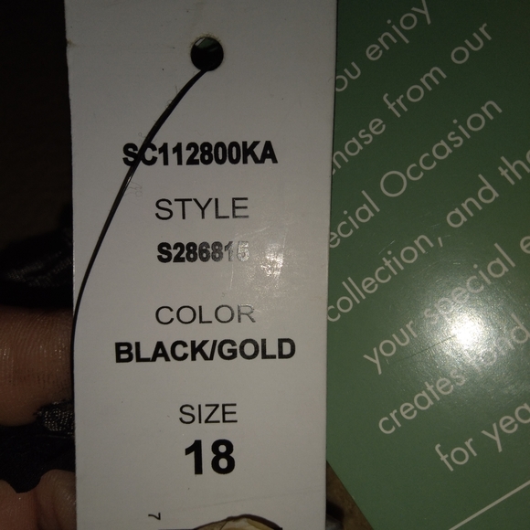 Dress - Picture 5 of 5